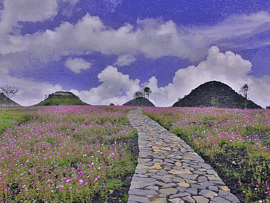 The Terminal by Ruofan Wang