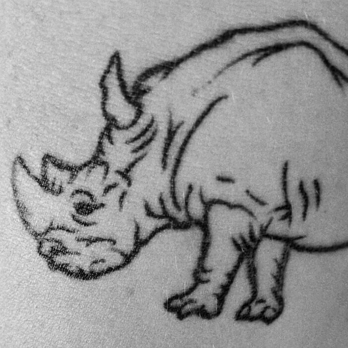 with a background in fine art, retouching and dance, rhinoceros seizes kinetic and spirited moments.  rhinoceros is Berlin based, originally hailing from Aotearoa / New Zealand.  for photography enquiries, please email x