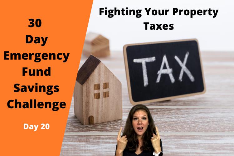 Day 20 - Emergency Fund Savings Challenge