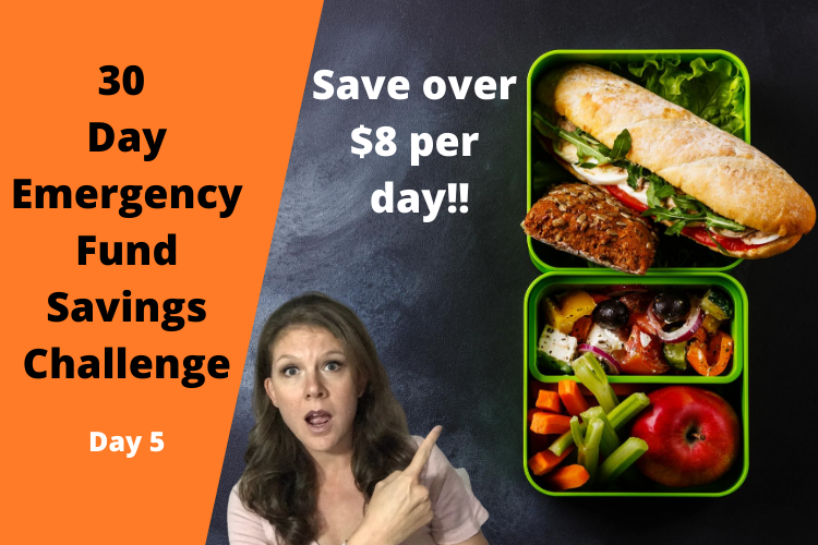 Day 5 - Emergency Fund Savings Challenge