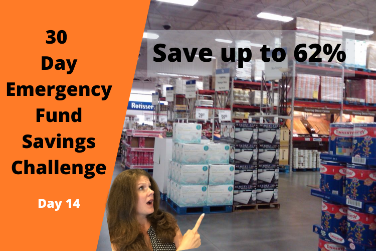 Day 14 - Emergency Fund Savings Challenge