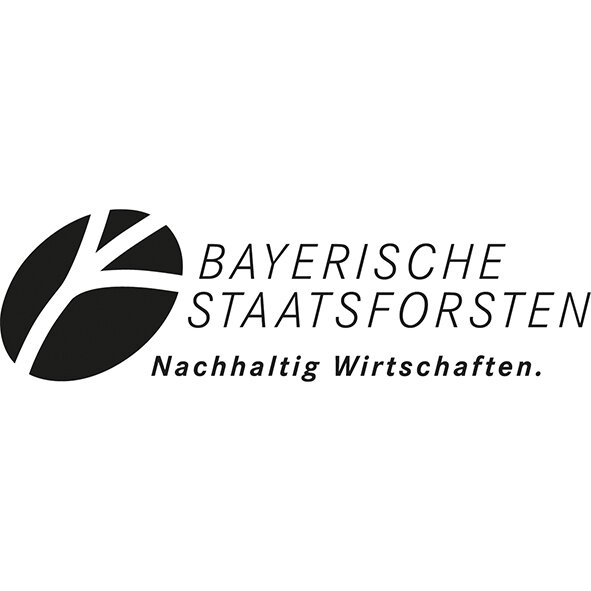 baysf logo schwarz.jpg