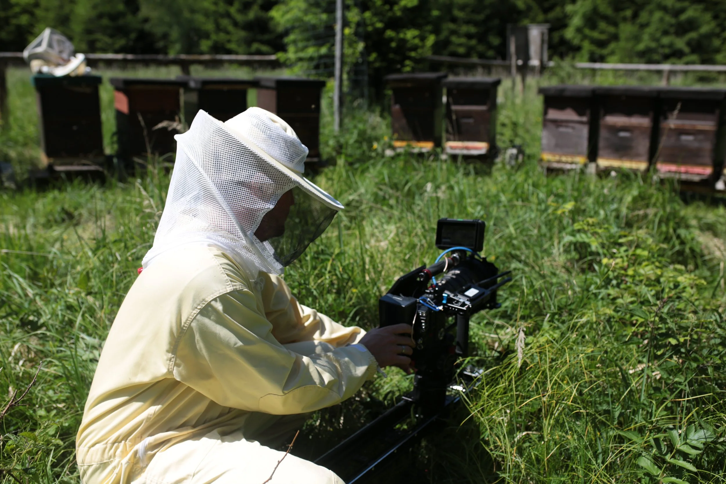 Viele Gesichter, ein Wald und ein paar Waschbären
