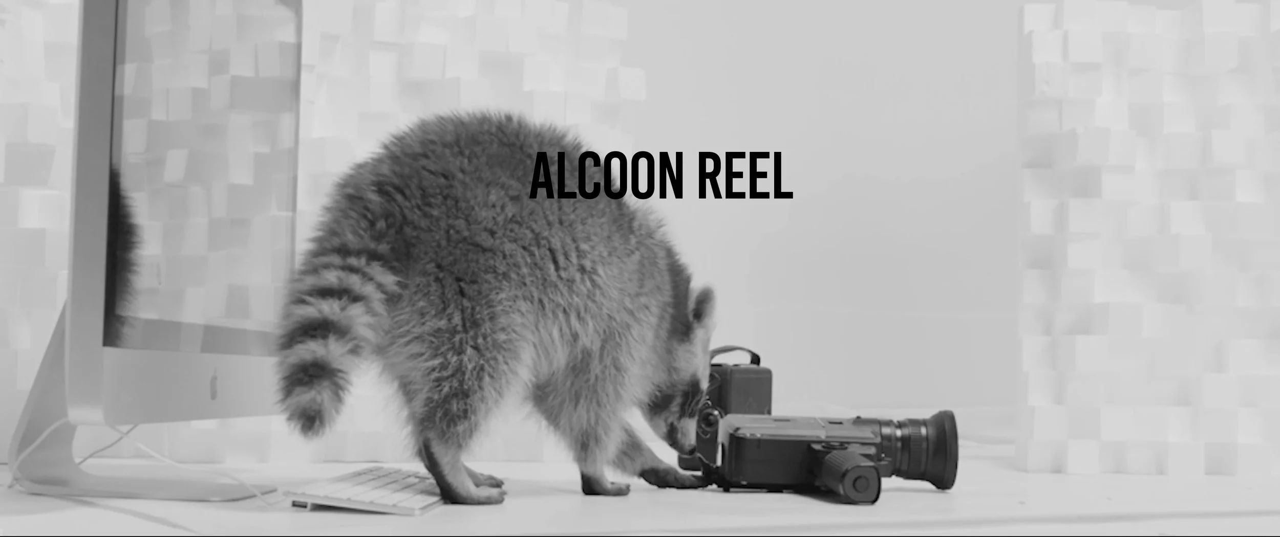 Albert Coon - ALBERT COON