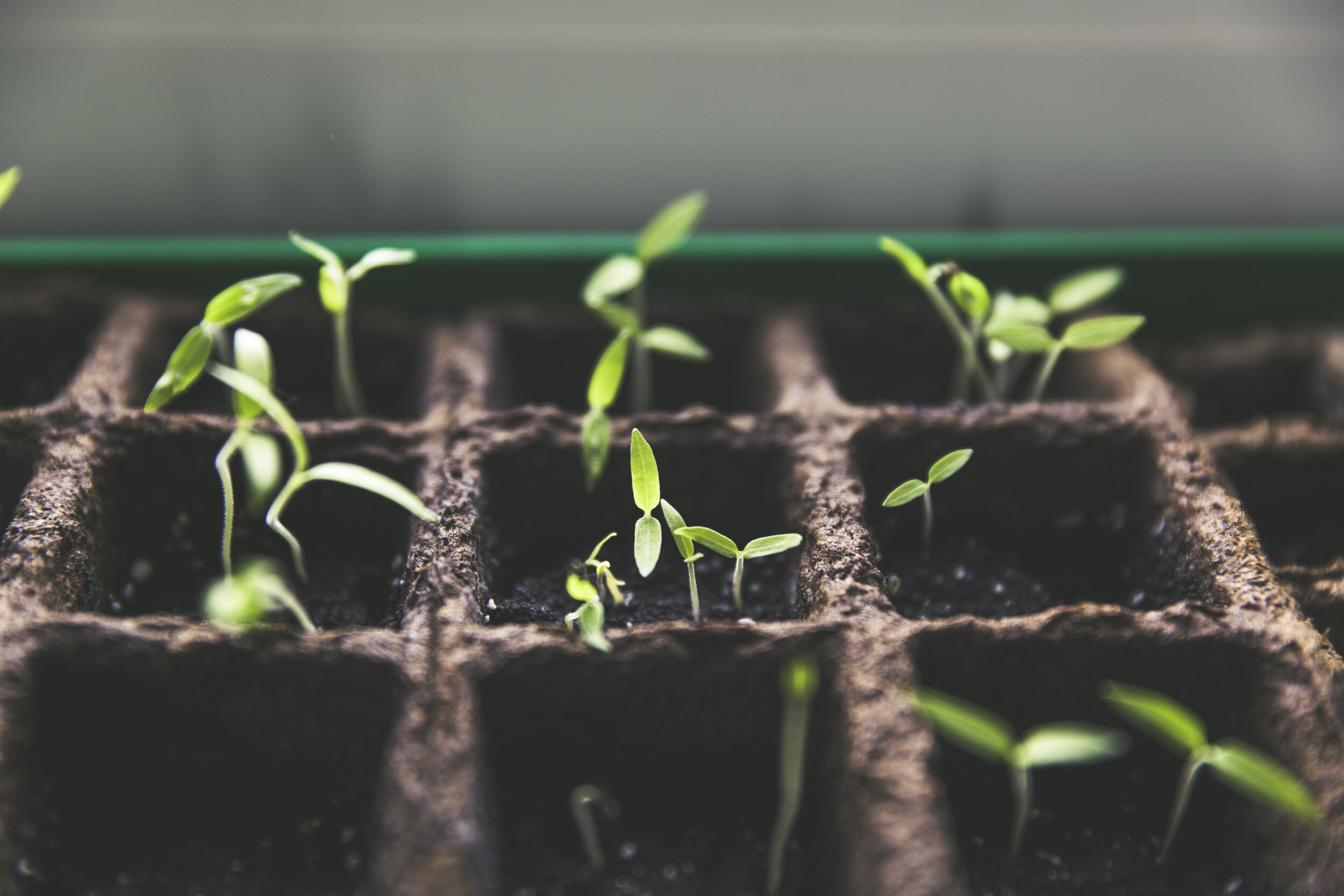 Responsible investment will be vital for the next generation of pension investors