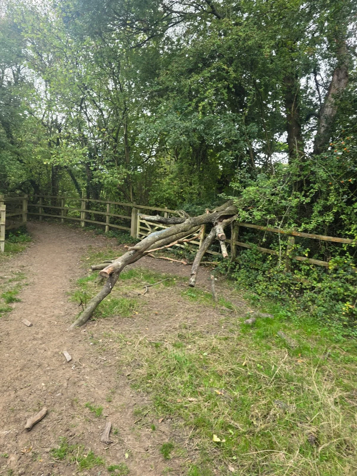 Recent SANG Land Update