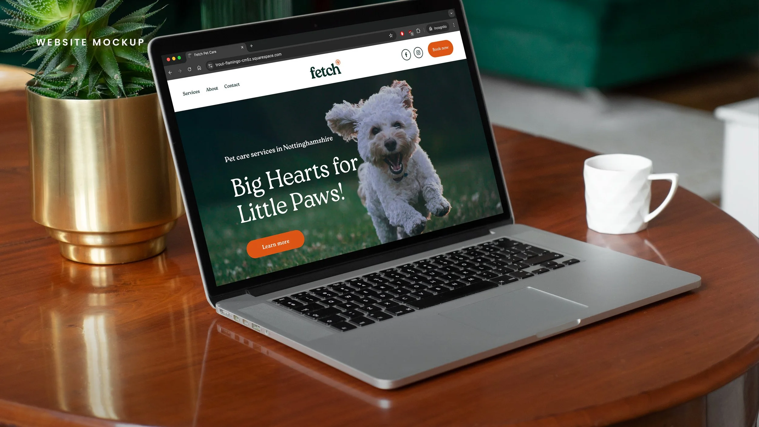 Fetch-Brand-Concept-3.jpg