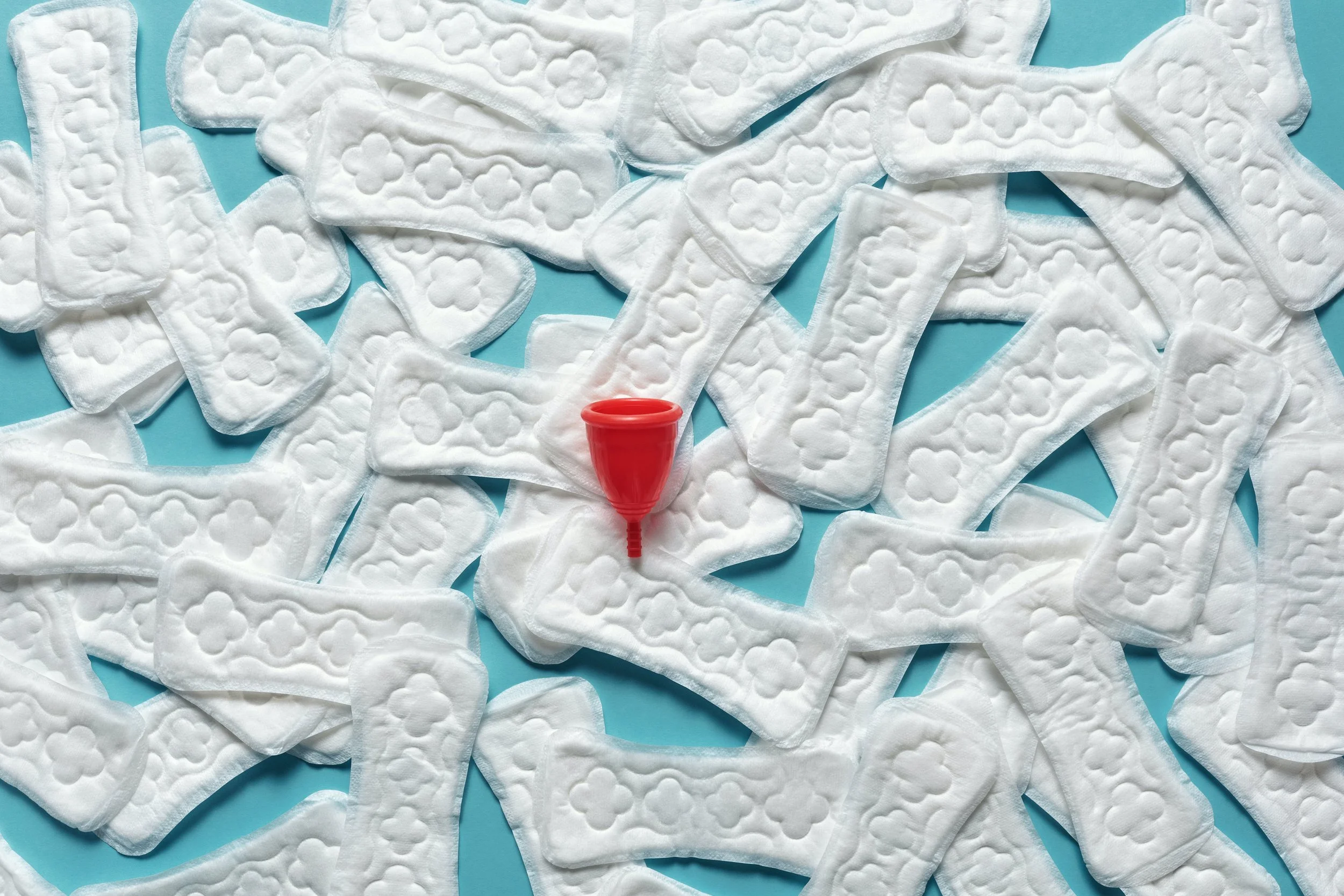 Flowing Towards Sustainability: Navigating Net-Zero Menstruation for a Greener Future