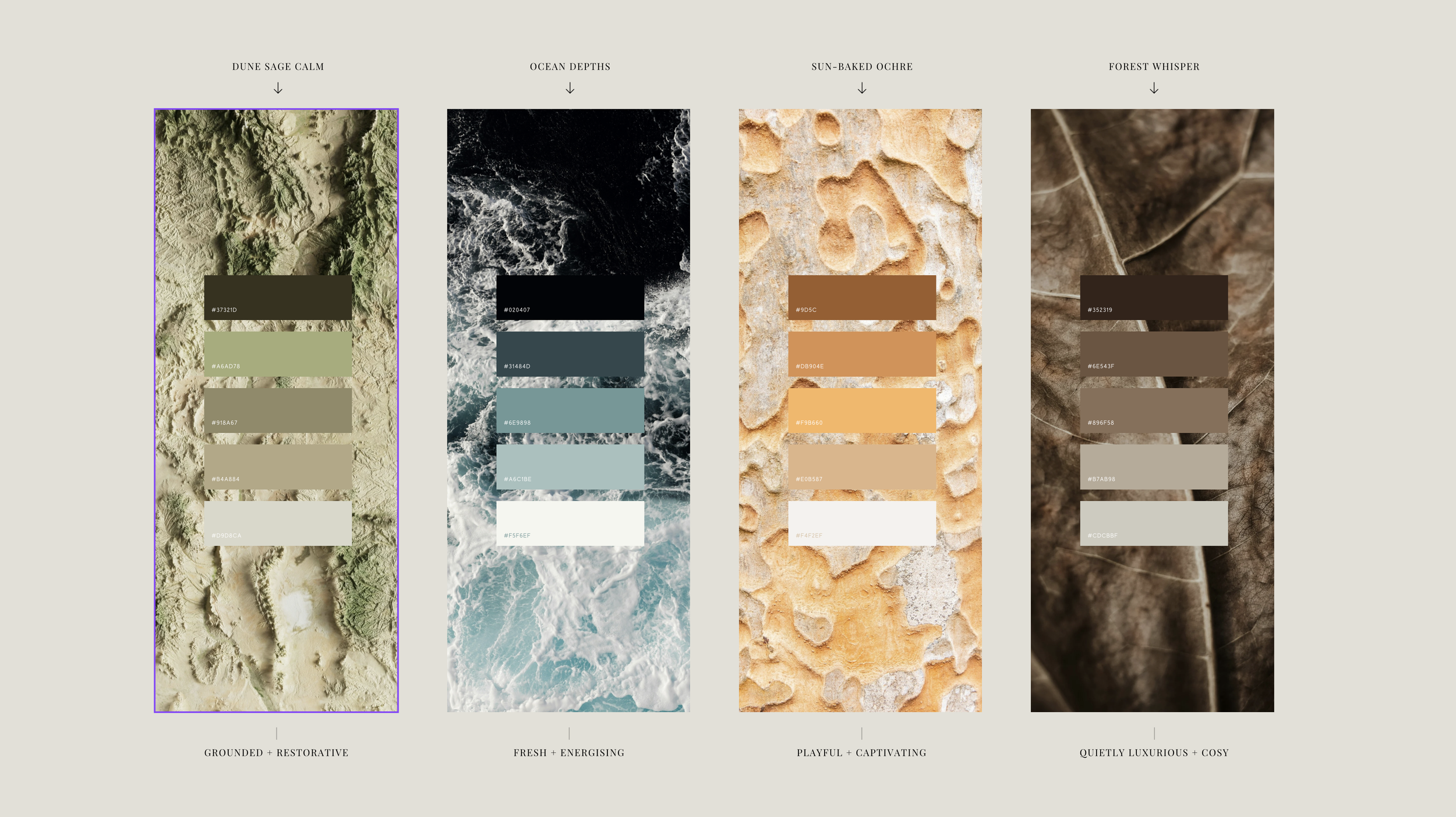 Designing for Different Learning Styles