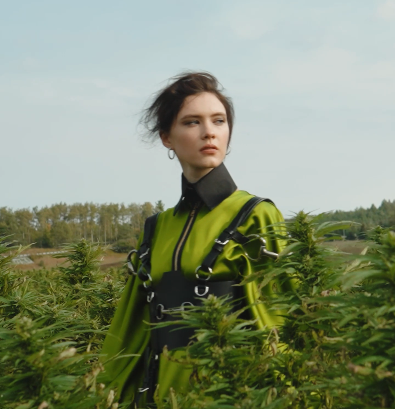 Screen Shot 2022-11-26 at 9.27.25 AM.png