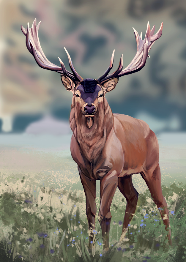 Stag_Final.png