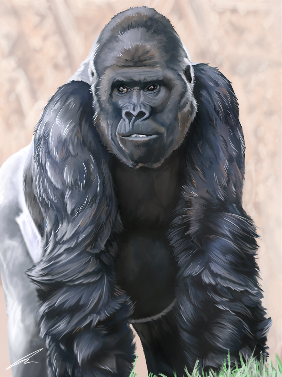 AlexForcer_Commission_GorillaPrint - 10 December 2025 19.28.04.png