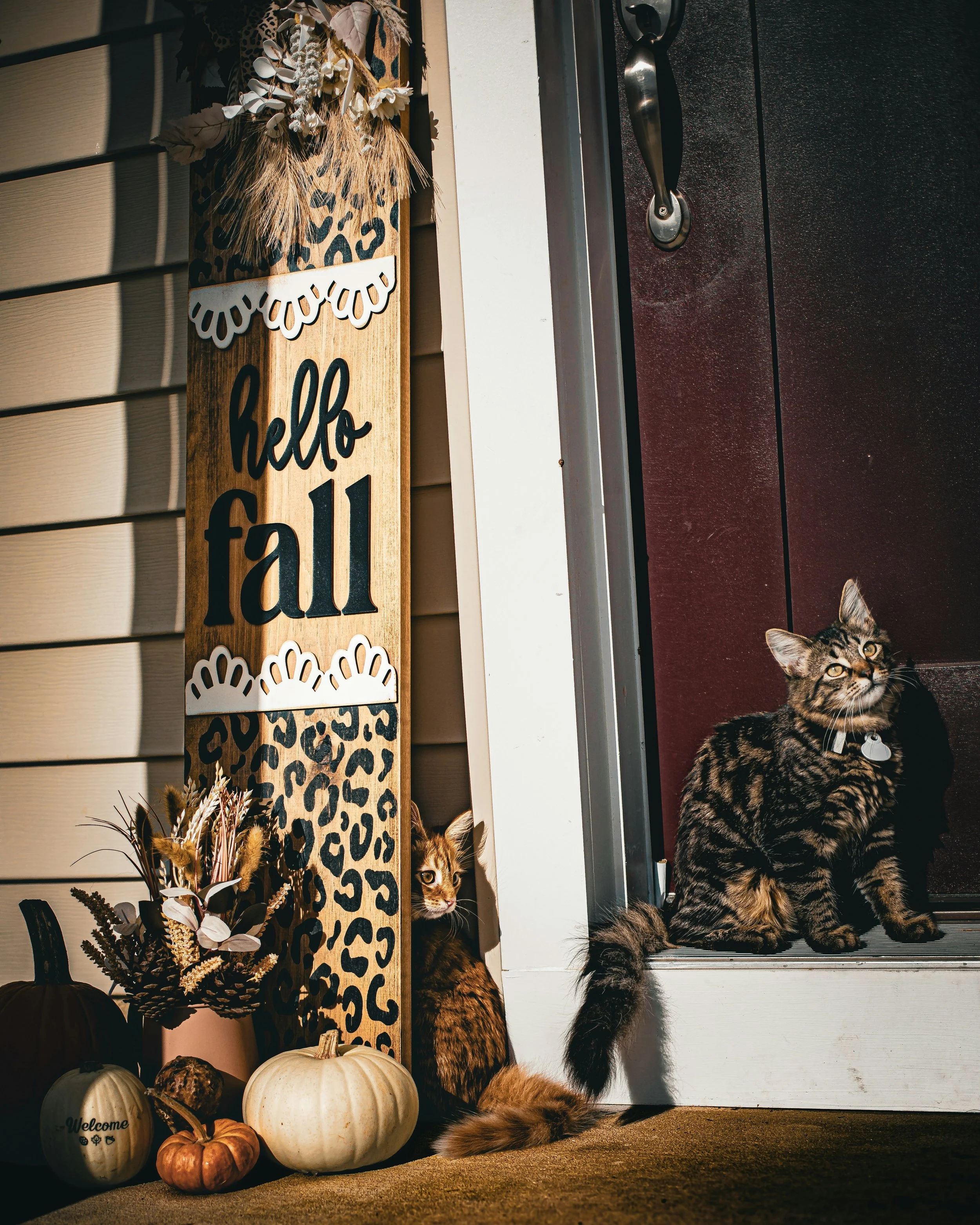 Frugal Fall