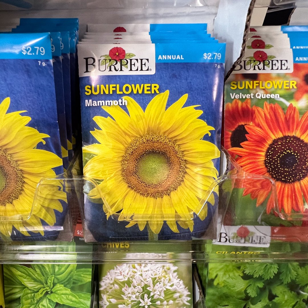 The warmer months are here! Ready to get your hands dirty? 🌿 Dive into the world of gardening with Adler's! From soil to seeds, we've got everything you need to cultivate your own little piece of paradise. @burpeegardening
.
.
#adlersri #adlersdesig