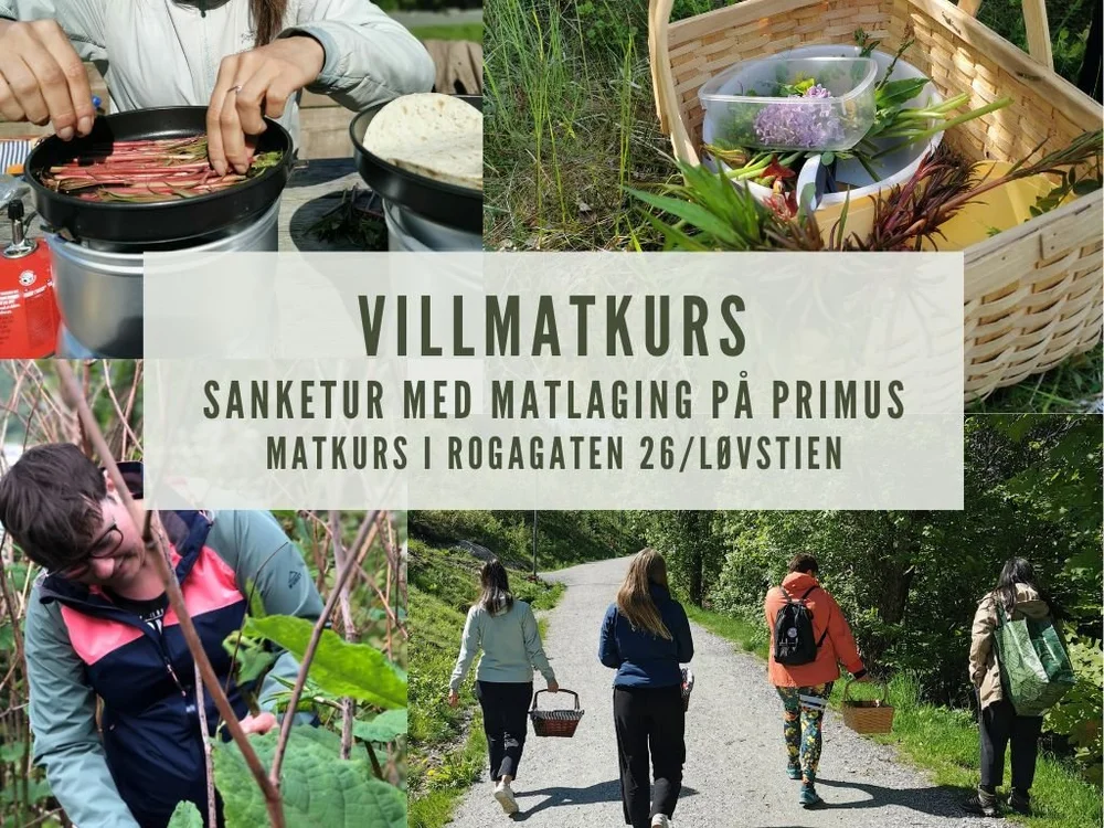 Villmatkurs med matlaging på primus