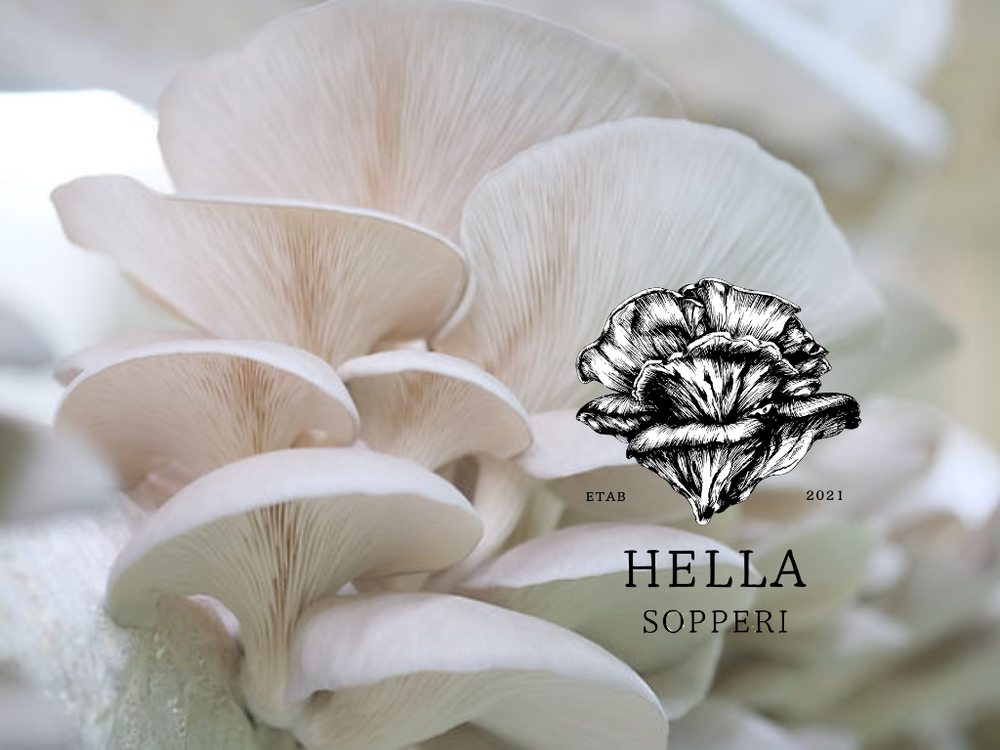 Cooking Class: Mushroom Course with Hella Sopperi and Stene Matglede