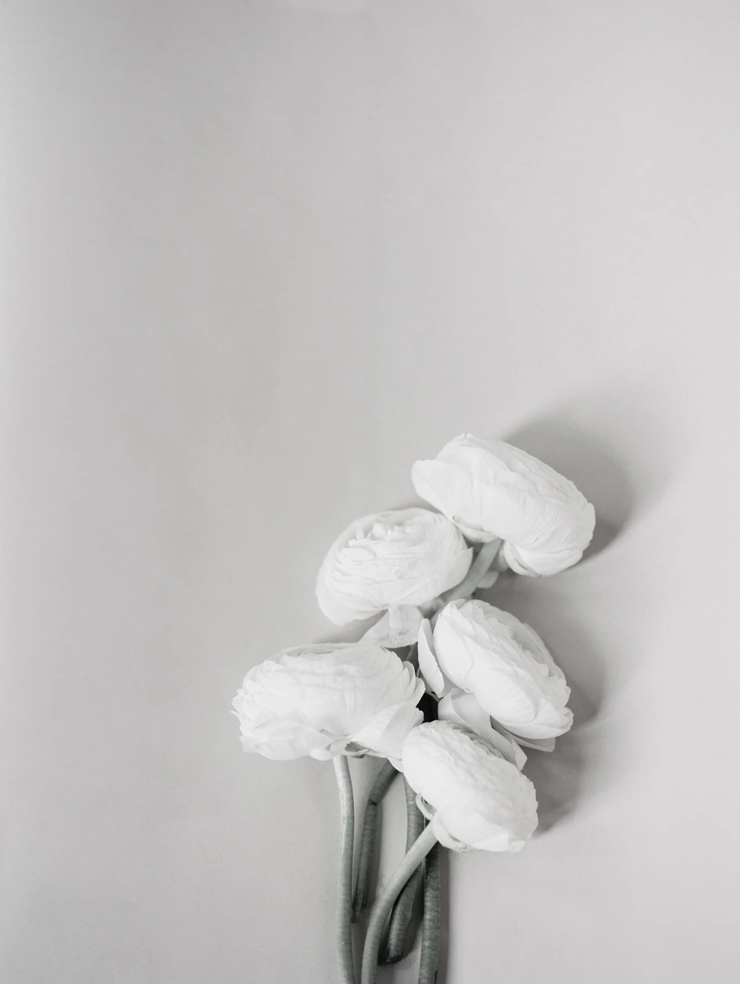 119584RLlu110711-R2-027.jpg