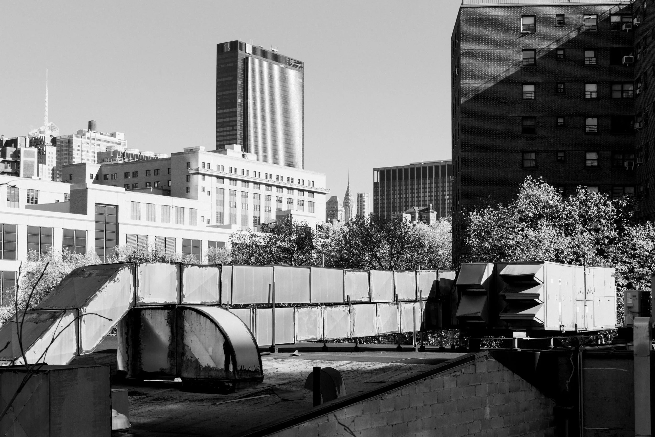 NYCprint-6.jpg