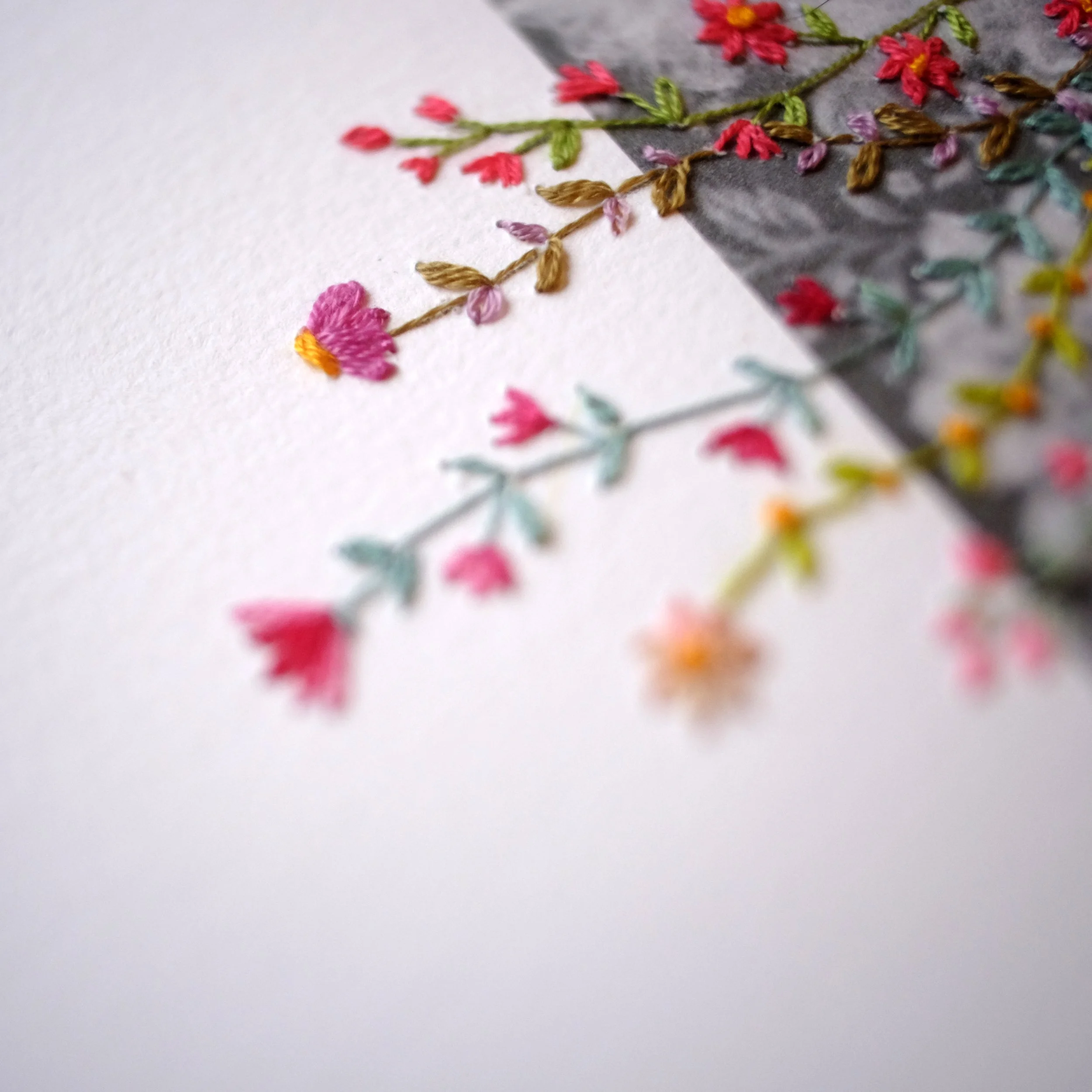 DSCF0014 - Copie.jpg