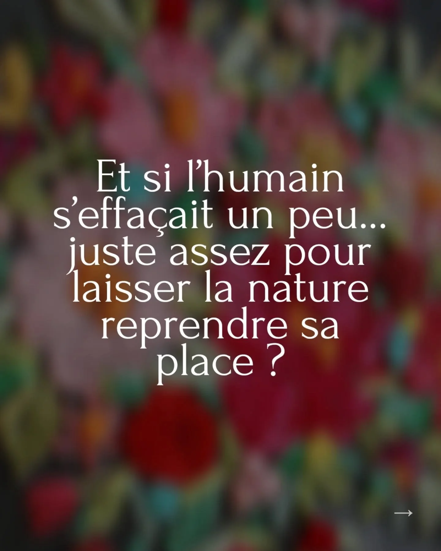 Il existe des liens qui n&rsquo;ont pas besoin de mots.
Le lien avec un animal en fait partie : une v&eacute;rit&eacute; simple, instinctive, qui nous regarde droit dans l&rsquo;&acirc;me et nous rappelle qui nous sommes vraiment.

Pour cette s&eacut