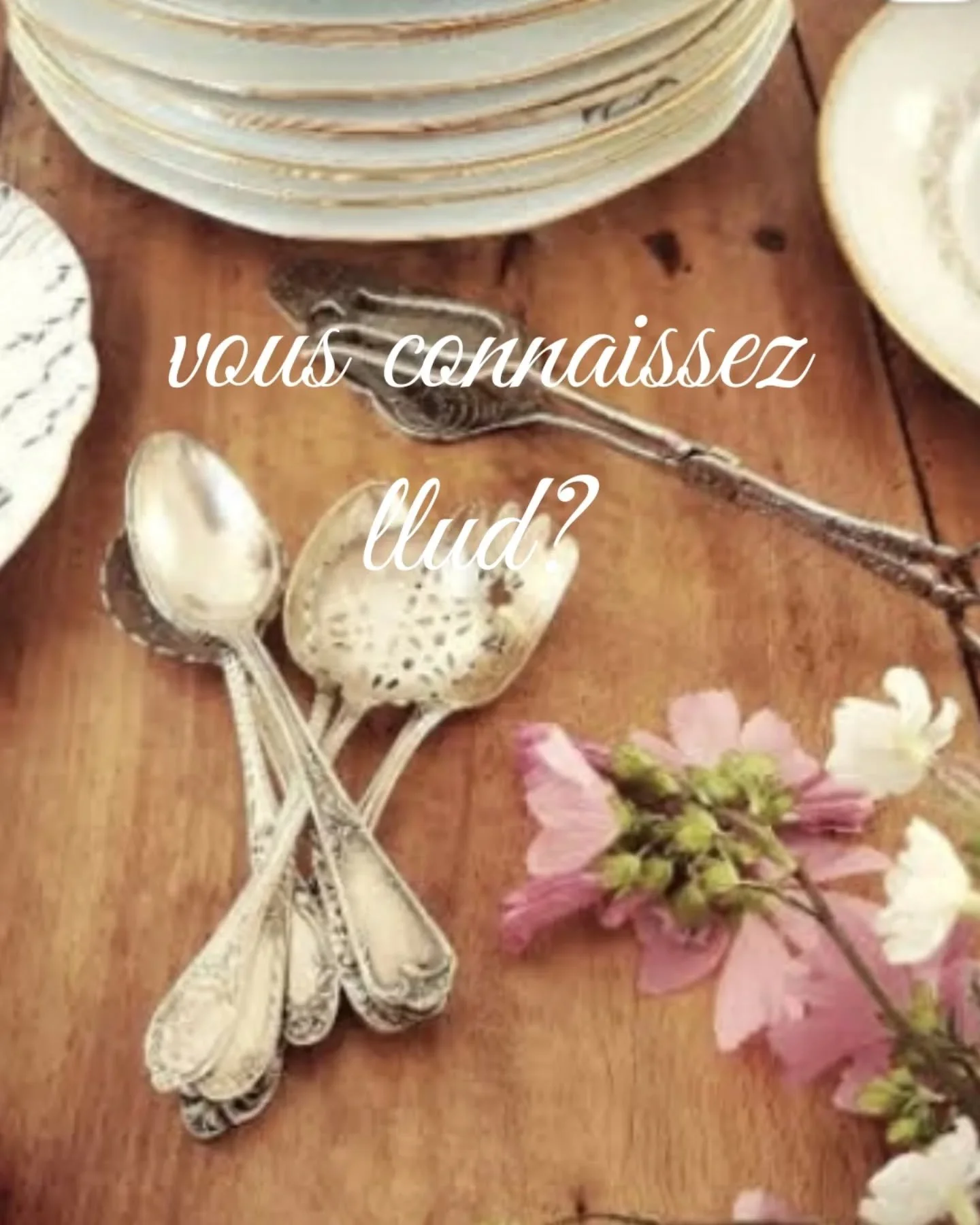 4 mains, des lapins et des fleurs... 
&Ccedil;a fait des ann&eacute;es que je la suis.
Des ann&eacute;es que je saute dans son monde comme on ouvre un vieux livre ami.
Il faut dire que son univers, c&rsquo;est tout ce que j&rsquo;aime.
Des dessins d&