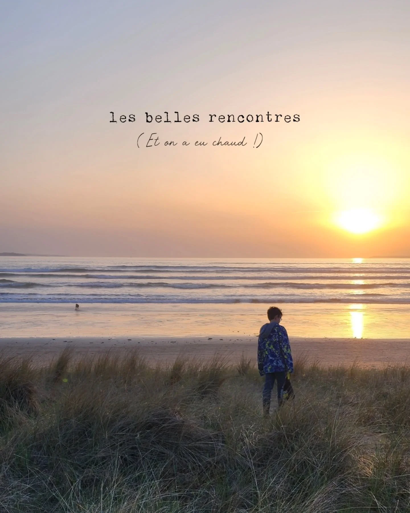 Il y a des soirs jolis...

o&ugrave; l'on fait des rencontres rares🦏🦛🦛🦛.

bonne nuit.
Laure.

🌅🌊🌠🌅🌊🌠🌅🌊🌠🌅🌊🌠🌅🌊🌠 

#mer
#finistere
#coucherdesoleil
#enfance
#ecologie