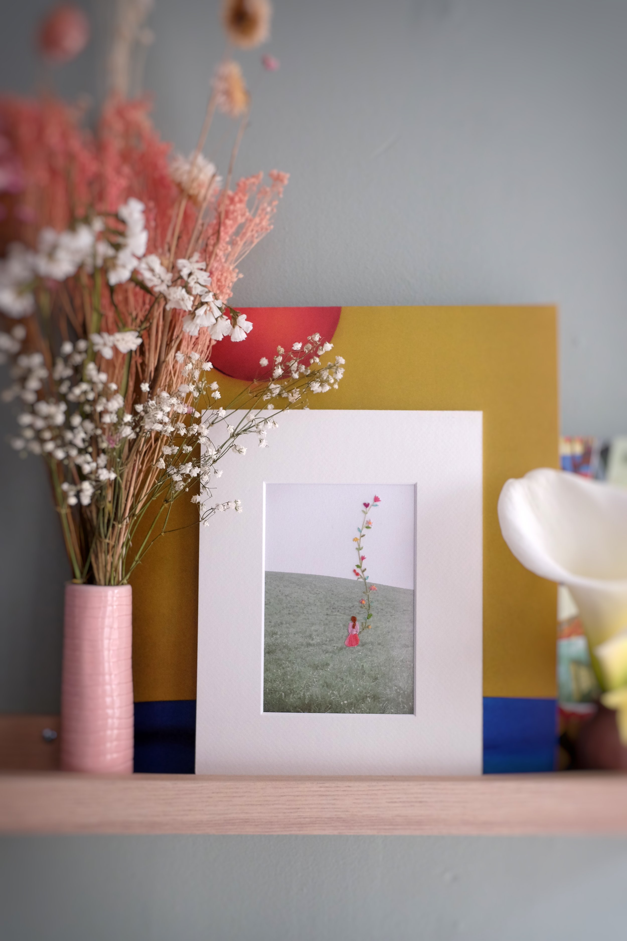 mon voisin totoro, la robe rouge