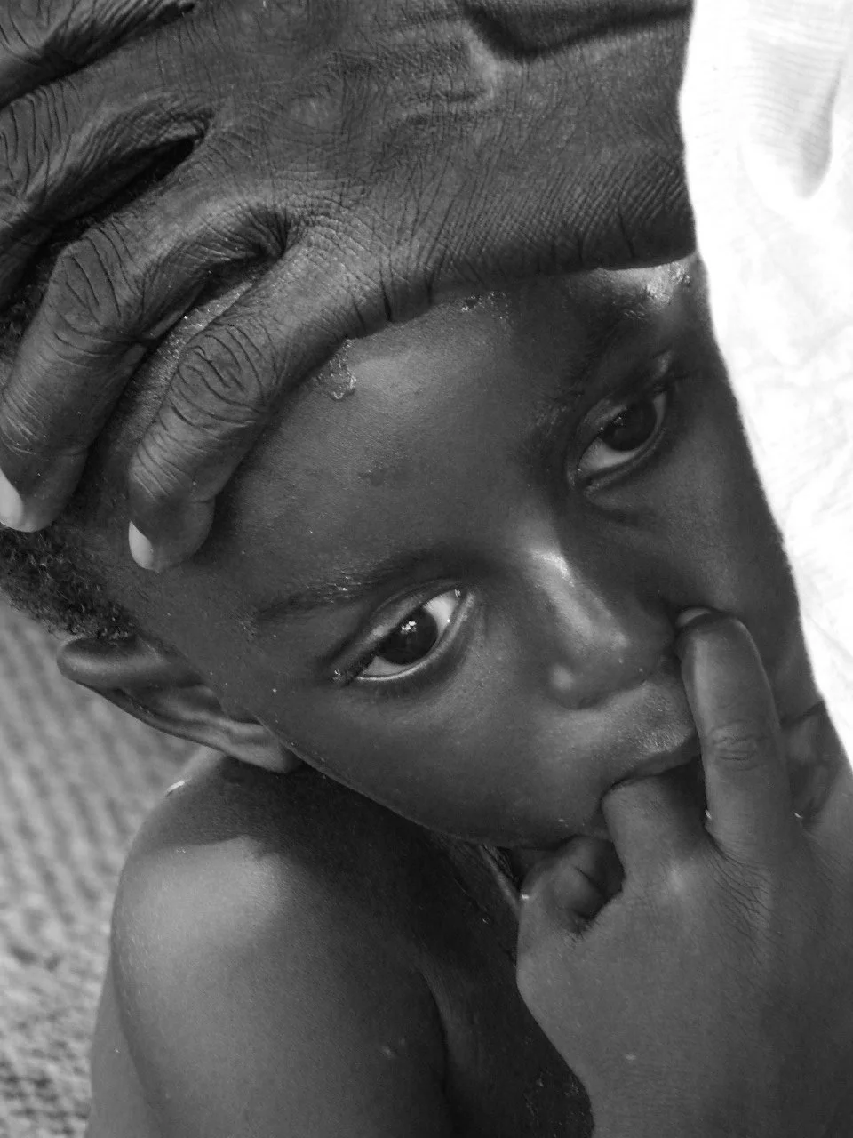 DSCN3833 - copie.JPG