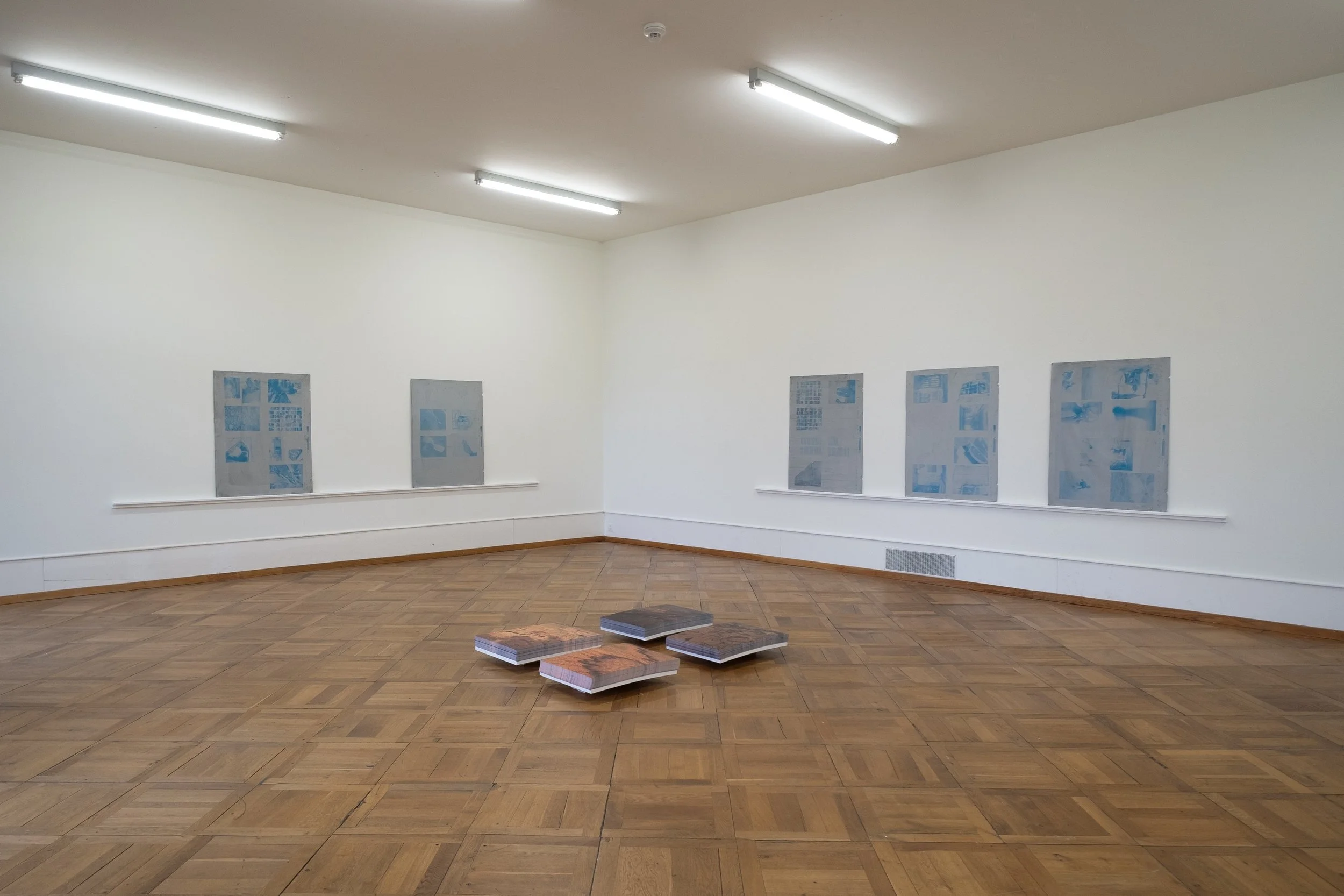 6. Bolol, 2025_3.jpeg