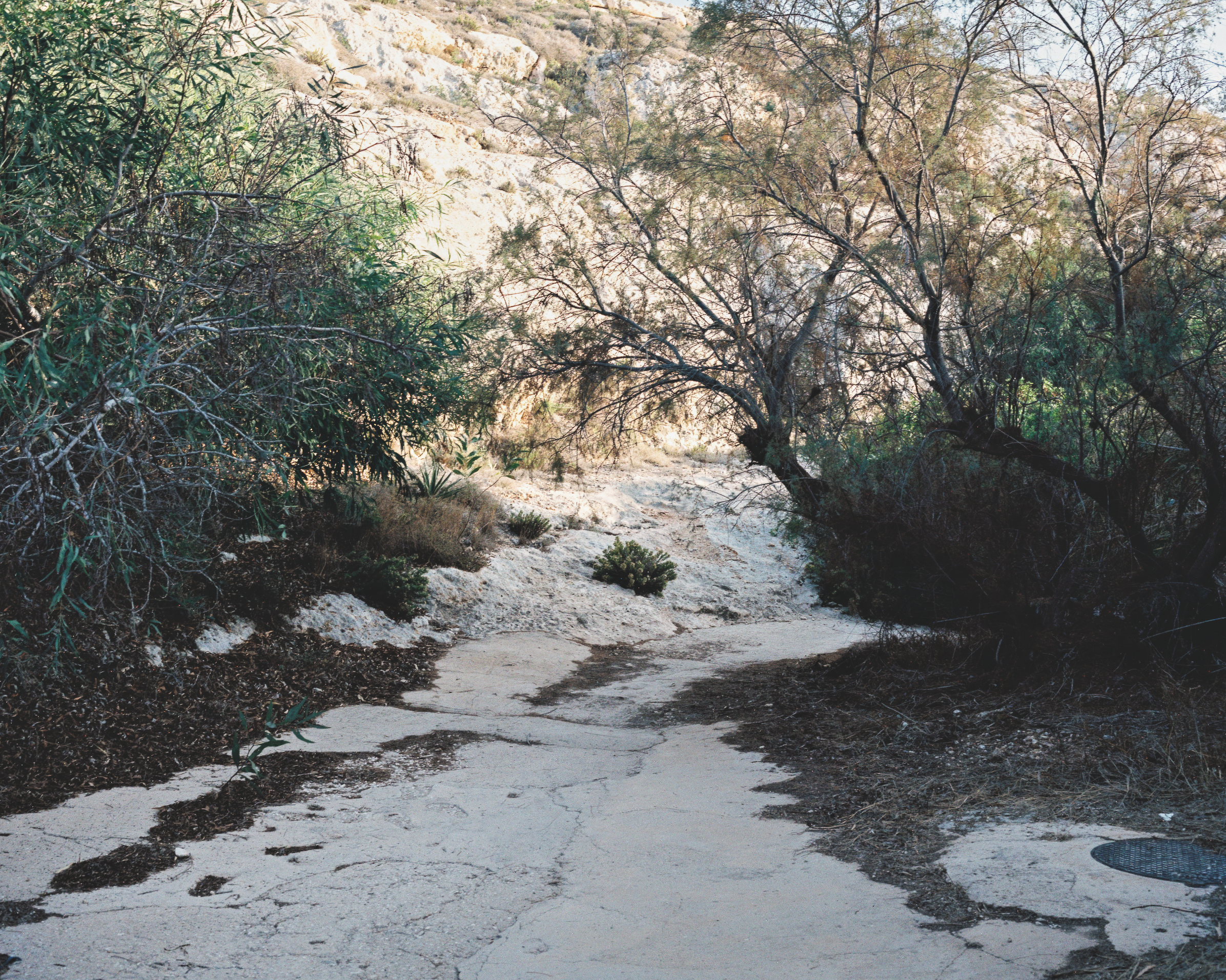 2. Bolol, 2025_9.png