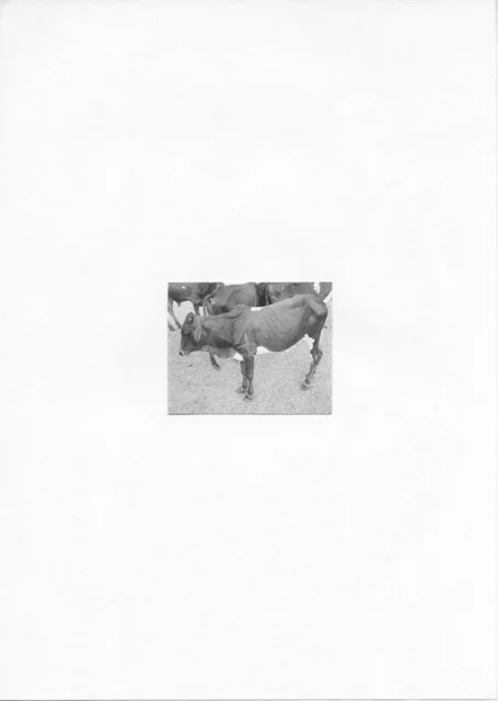 119 - Moyenne.jpeg