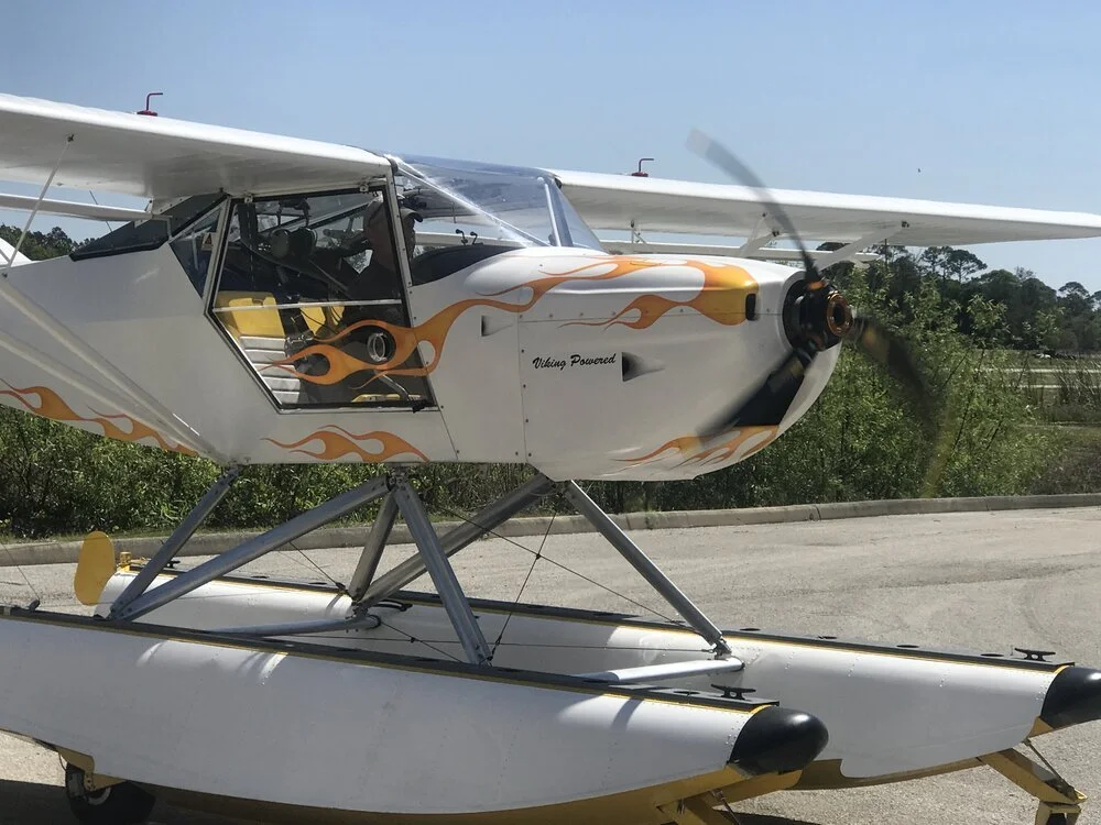 kitfox.jpg
