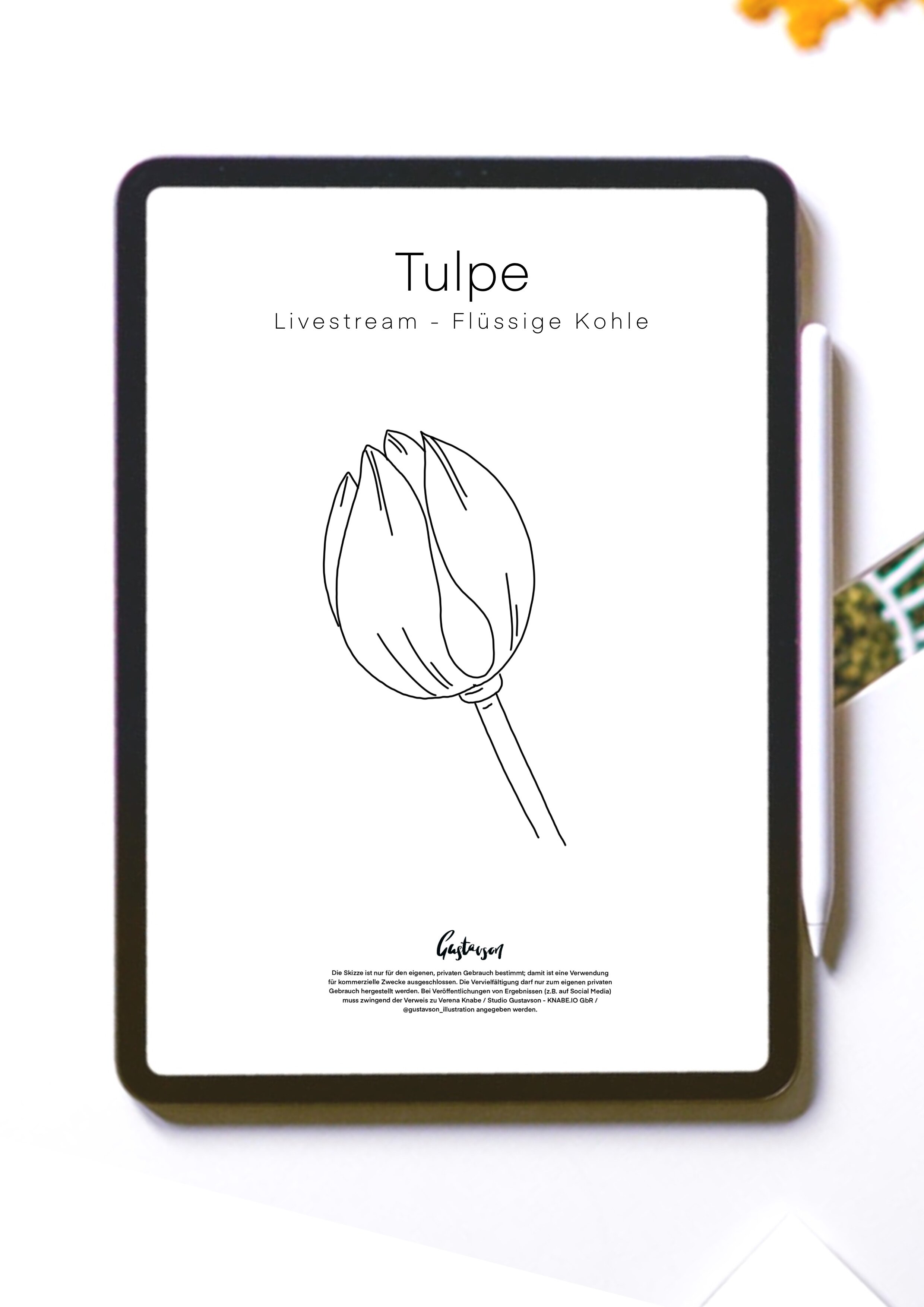 Livestream - Malen mit flüssige Kohle- Skizze Tulpe 