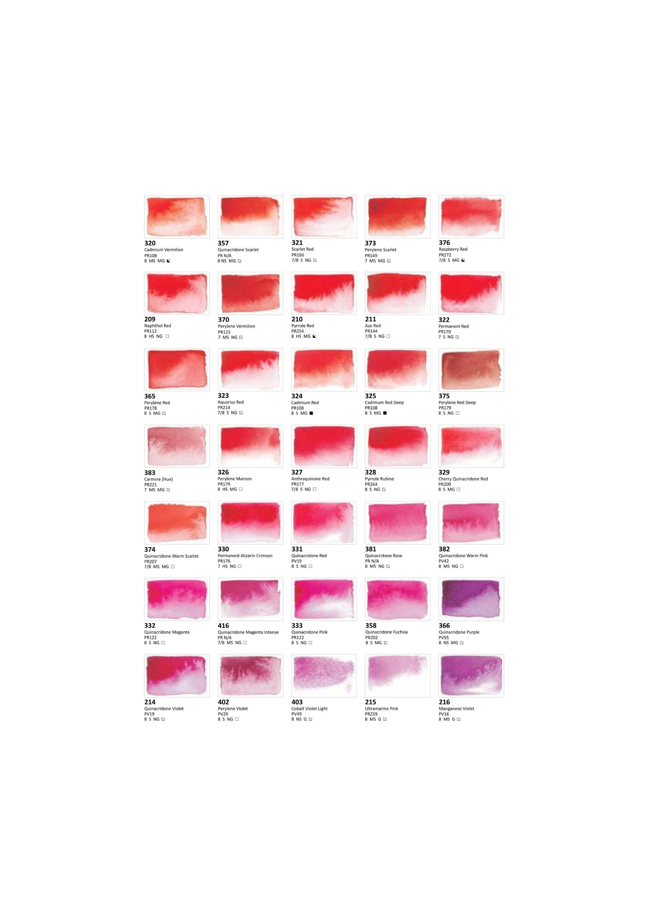 Roman 12 NäpfchenPalette 2.jpg