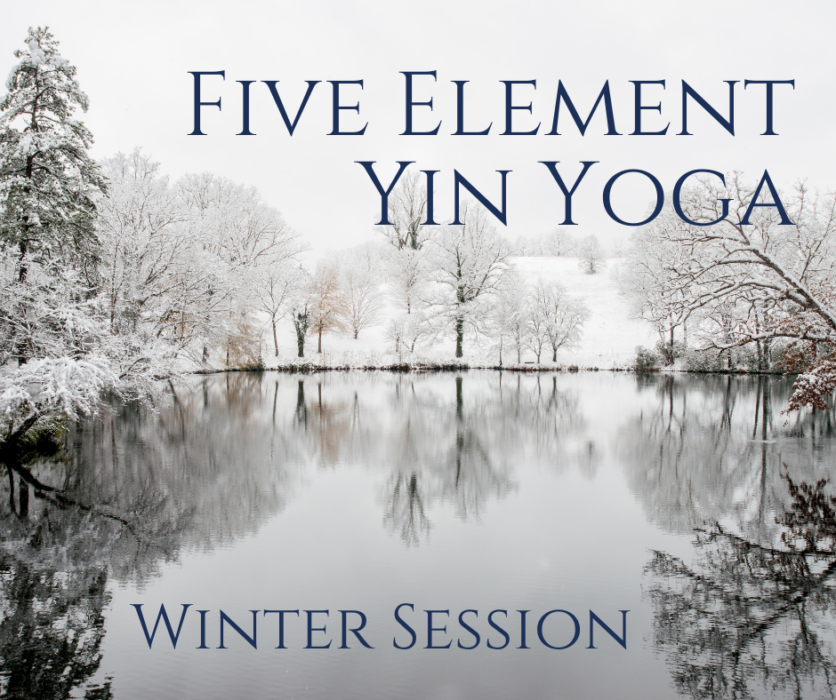 Five Element Yin Yoga - Winter Session