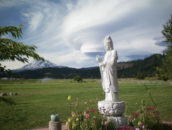 Screen Shot 2023-03-04 at 8.07.40 AM.png