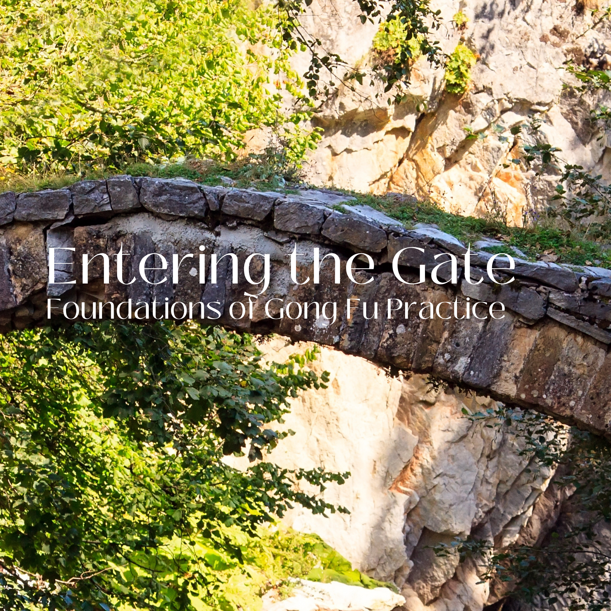 Enter the Gate Thumbnail.png
