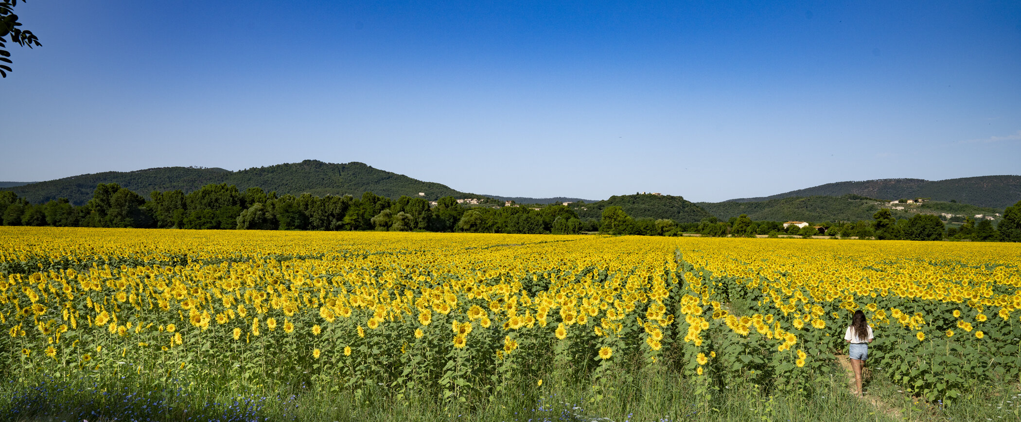 JP_09242 3.jpg