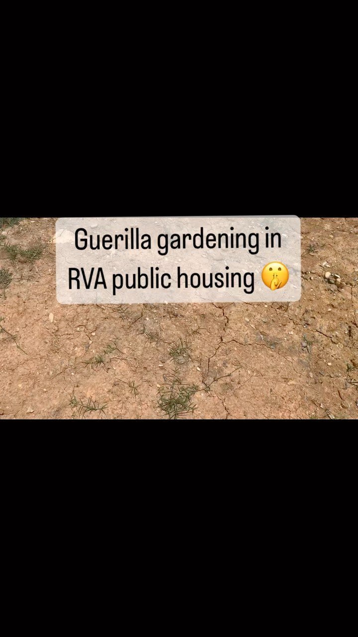 Slide 16