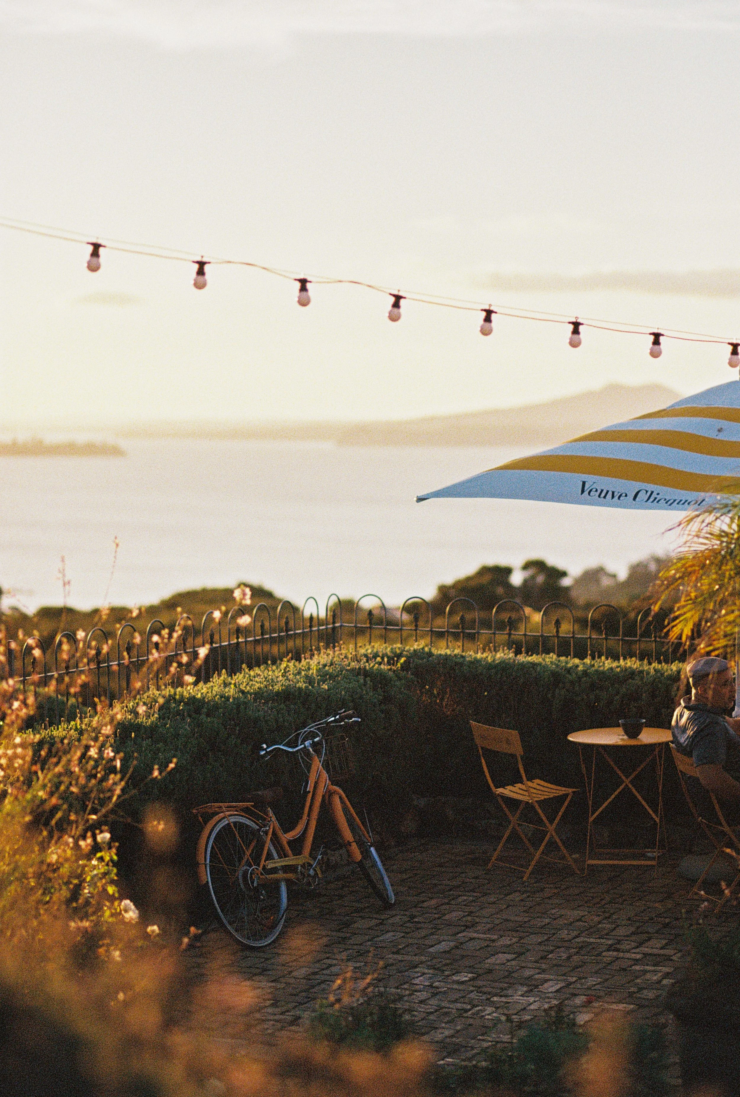 Amanda Tromp-337-2.jpg