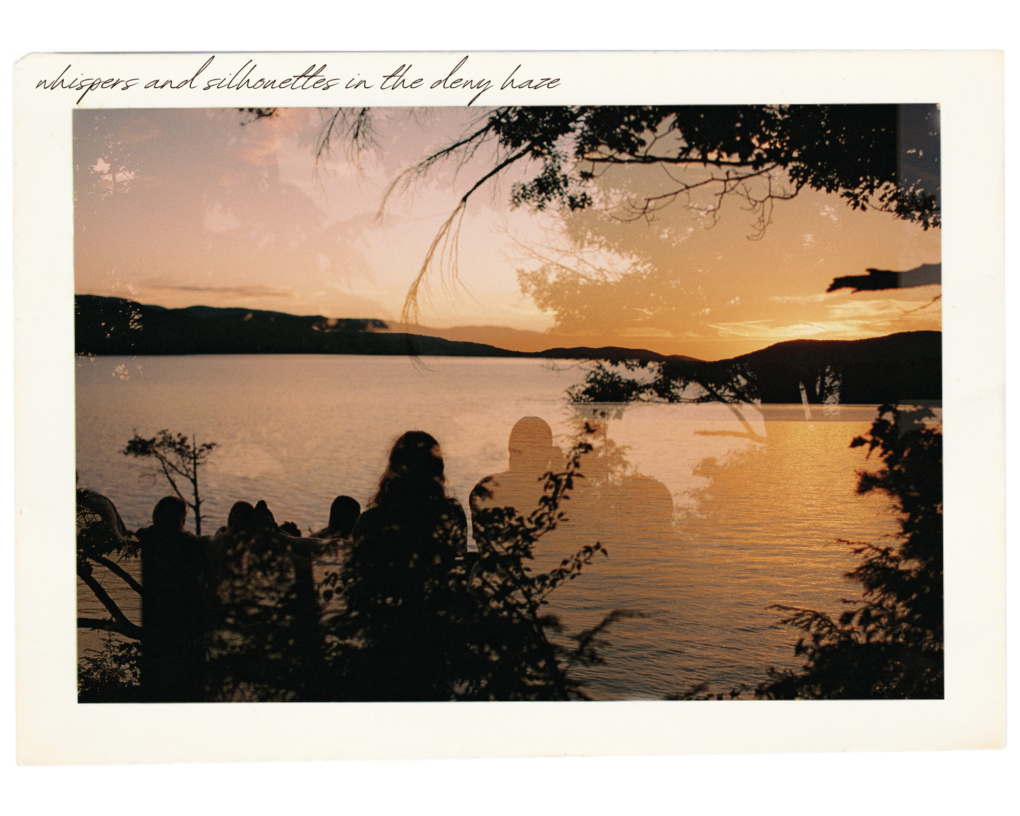 5x4 landscape for website (2).png