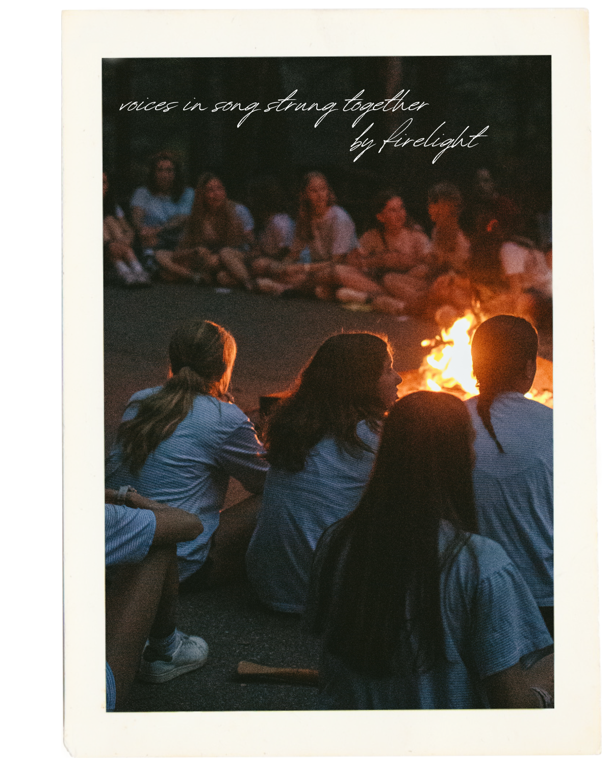 4x5 for website (3).png