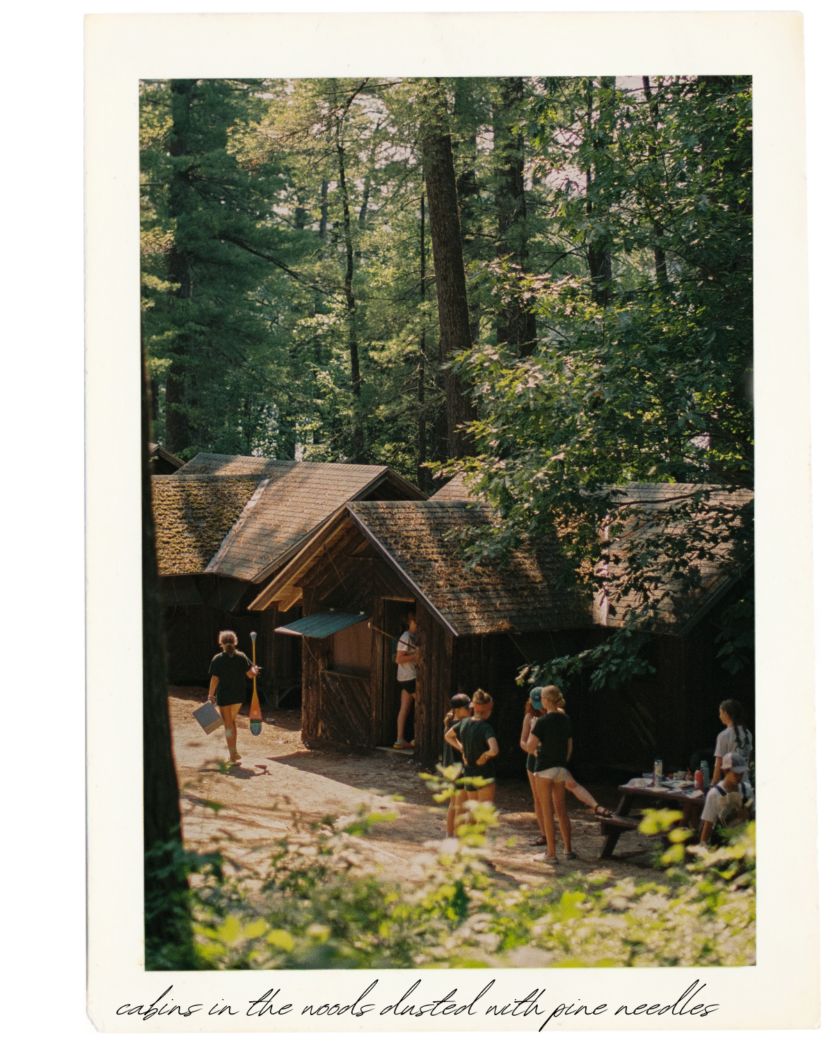 4x5 for website (2).png