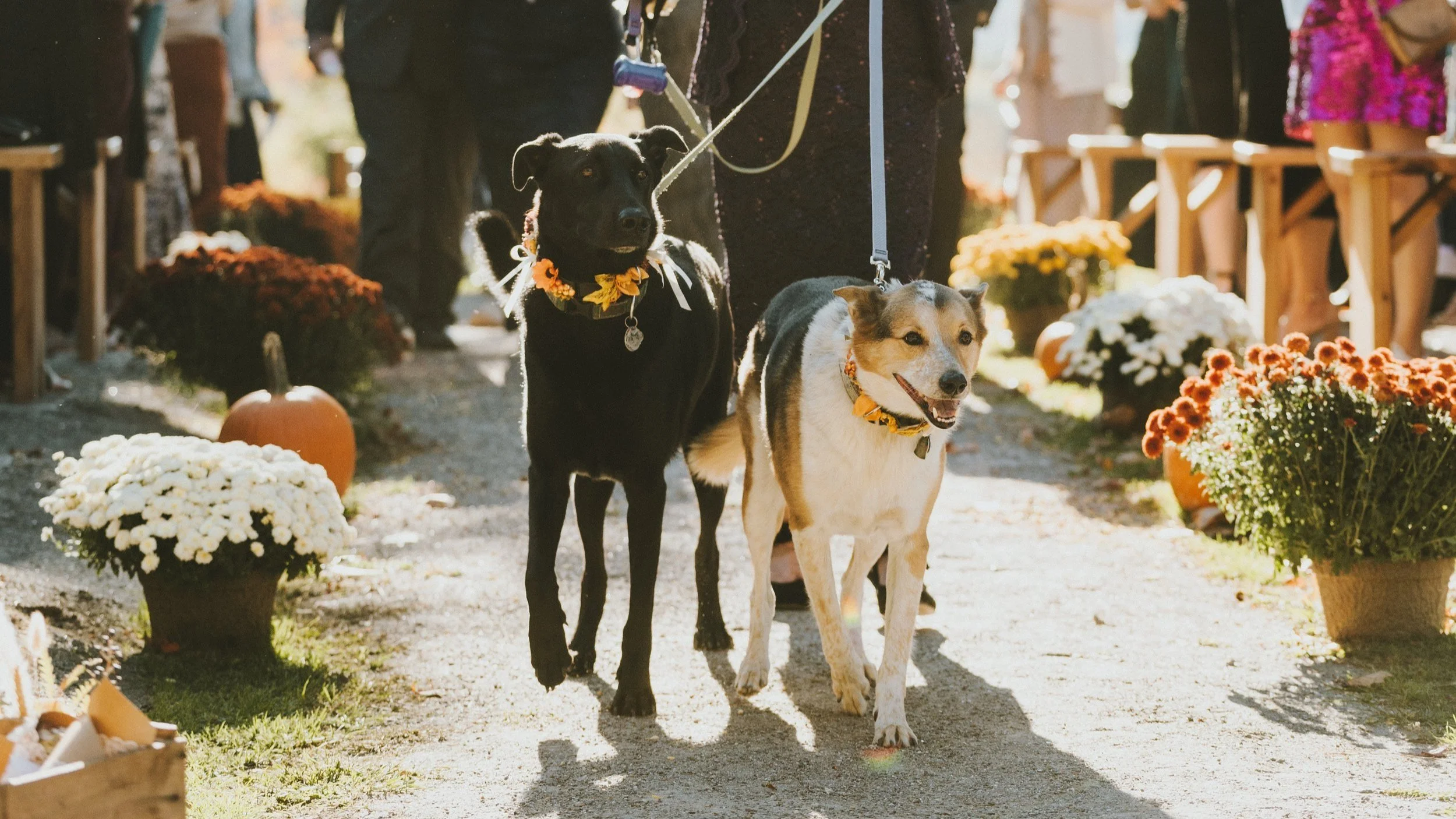 How To Find Your Perfect Wedding Venue — Cold Spring Farm