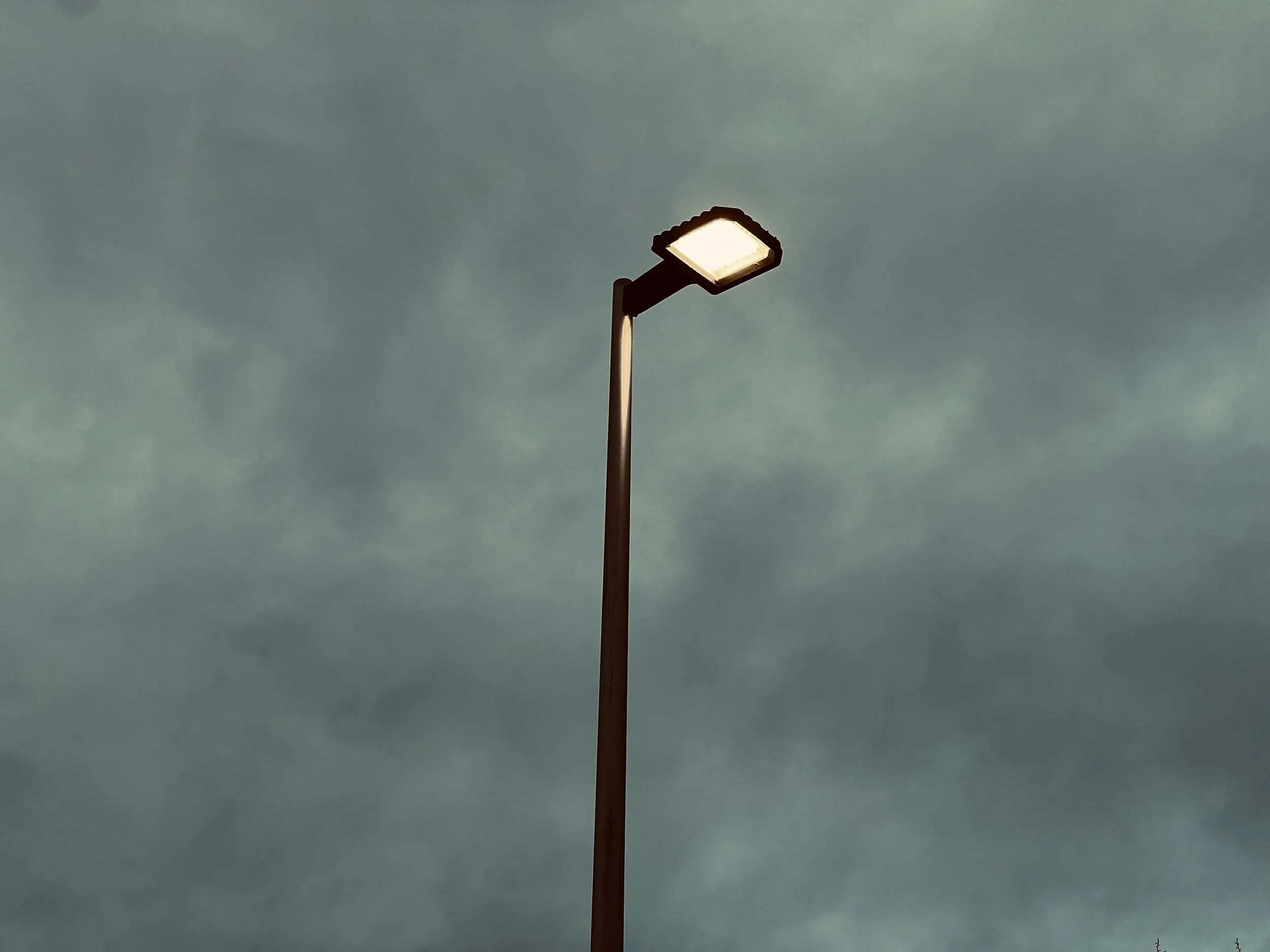 ILight the way.jpg