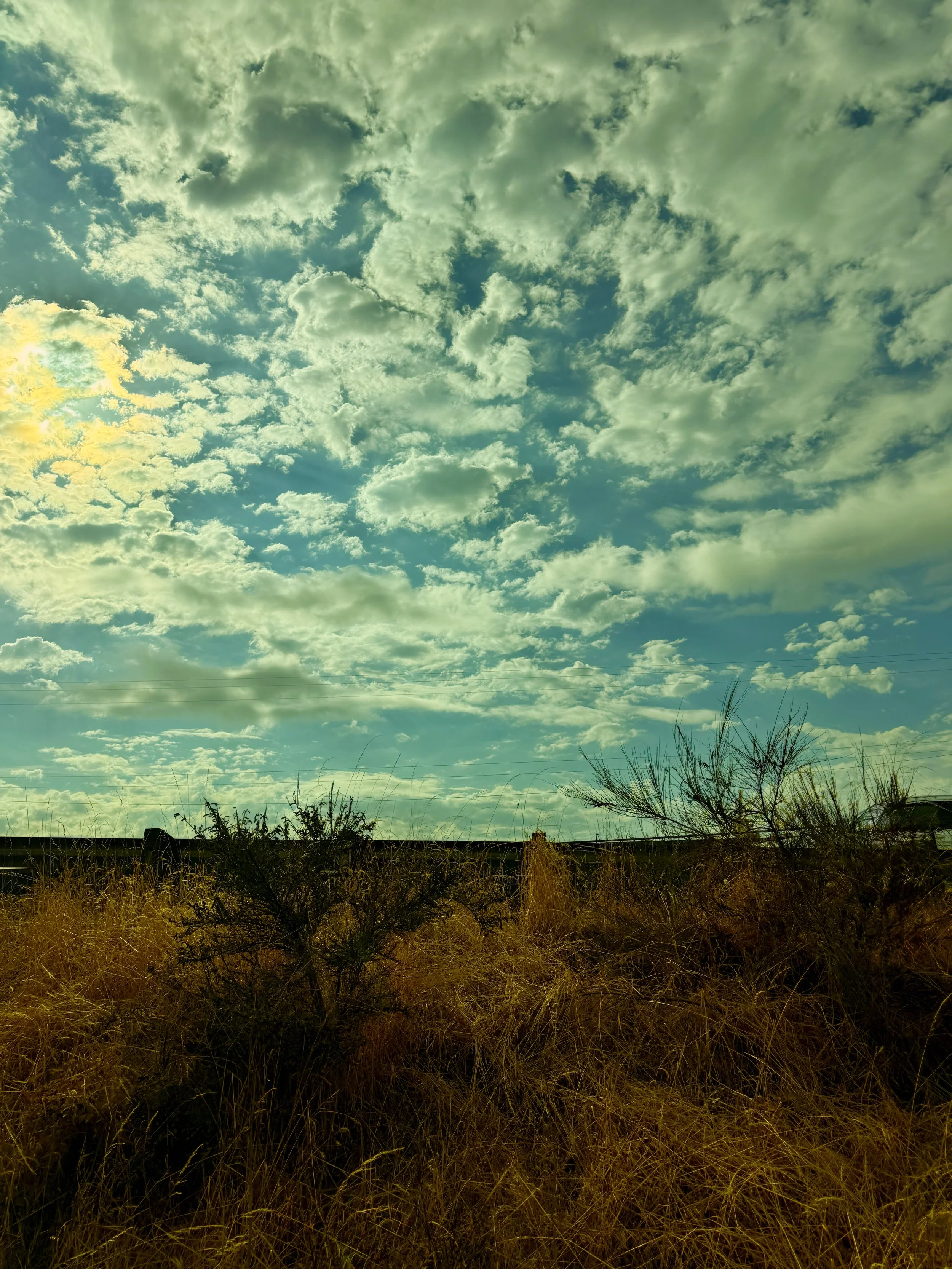 Outdoor scape.jpg