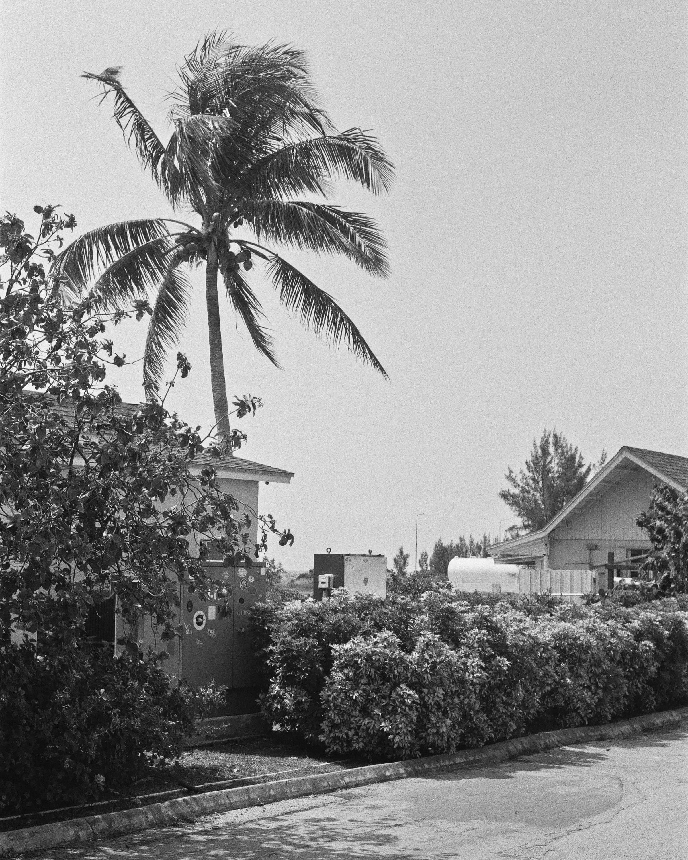 B&W_006.jpg