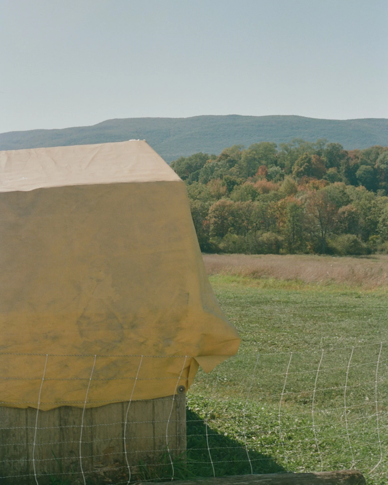 Upstate_011.jpg