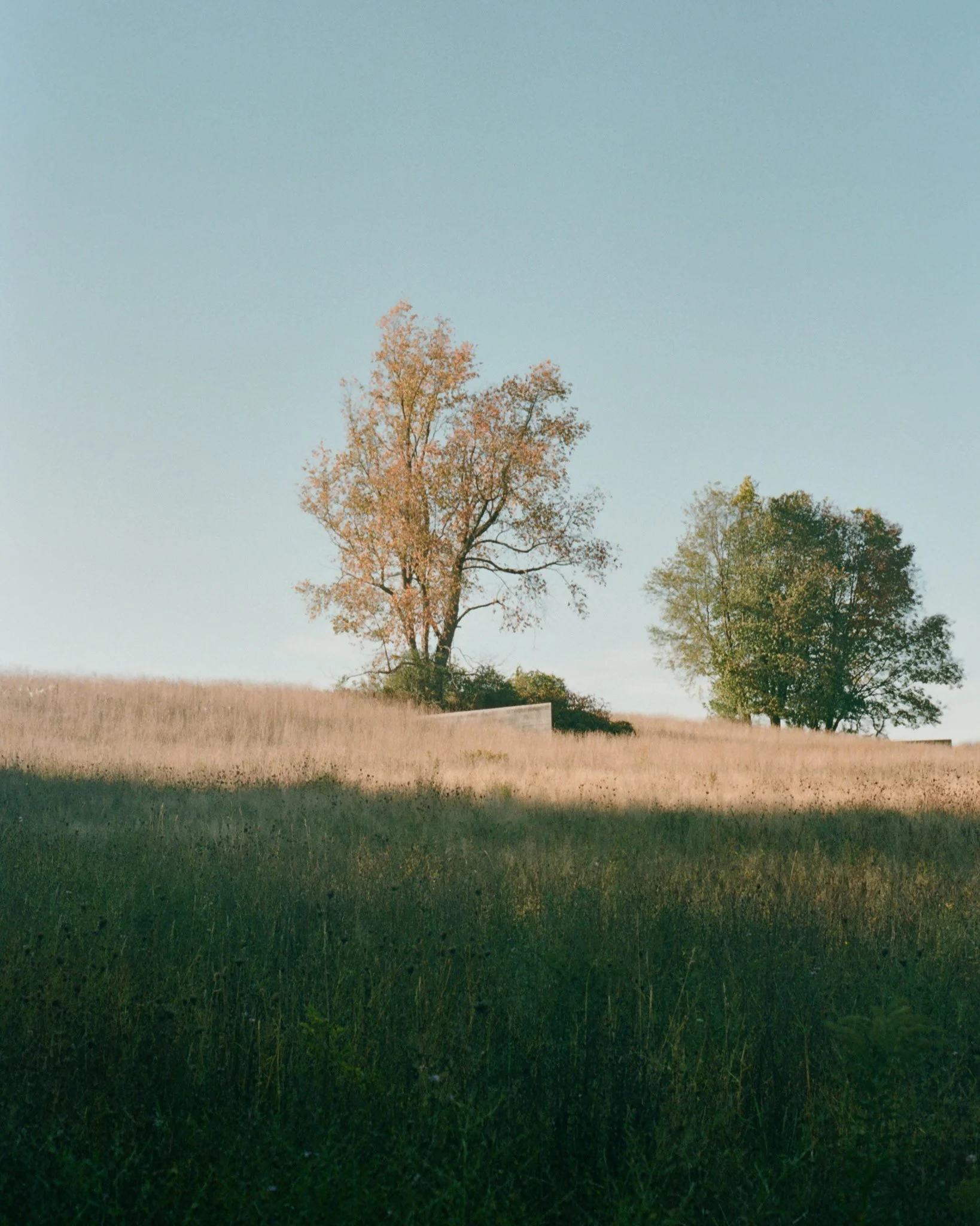 Upstate_030.jpg