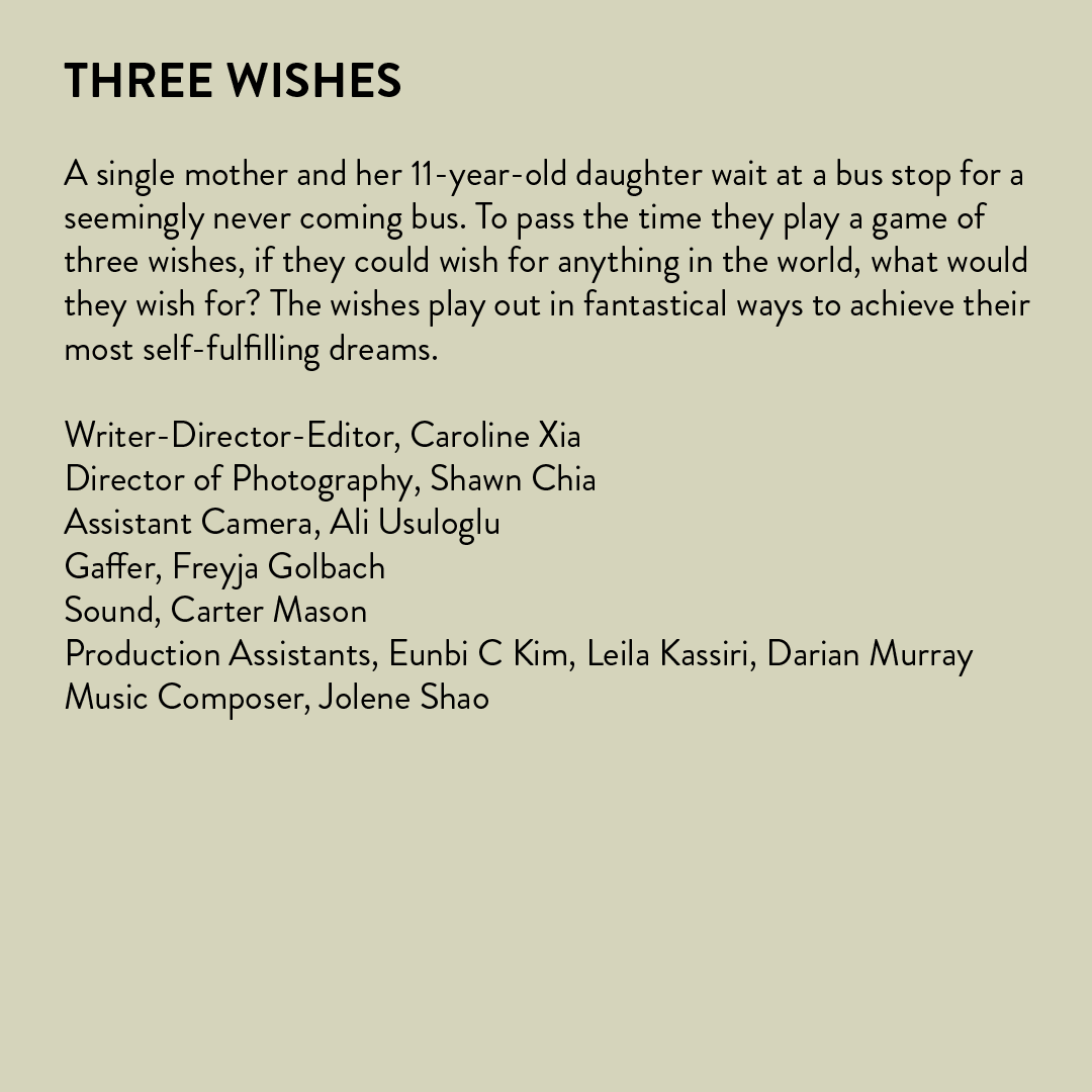  A single mother and her 11-year-old daughter wait at a bus stop for a seemingly never coming bus. To pass the time they play a game of three wishes, if they could wish for anything in the world, what would they wish for? The wishes play out in fanta